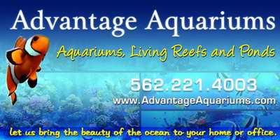 Advantage<br>Aquariums